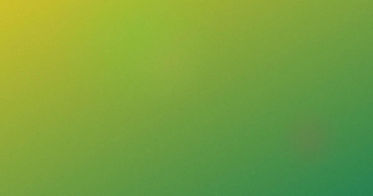 vanessa推荐：新手练法