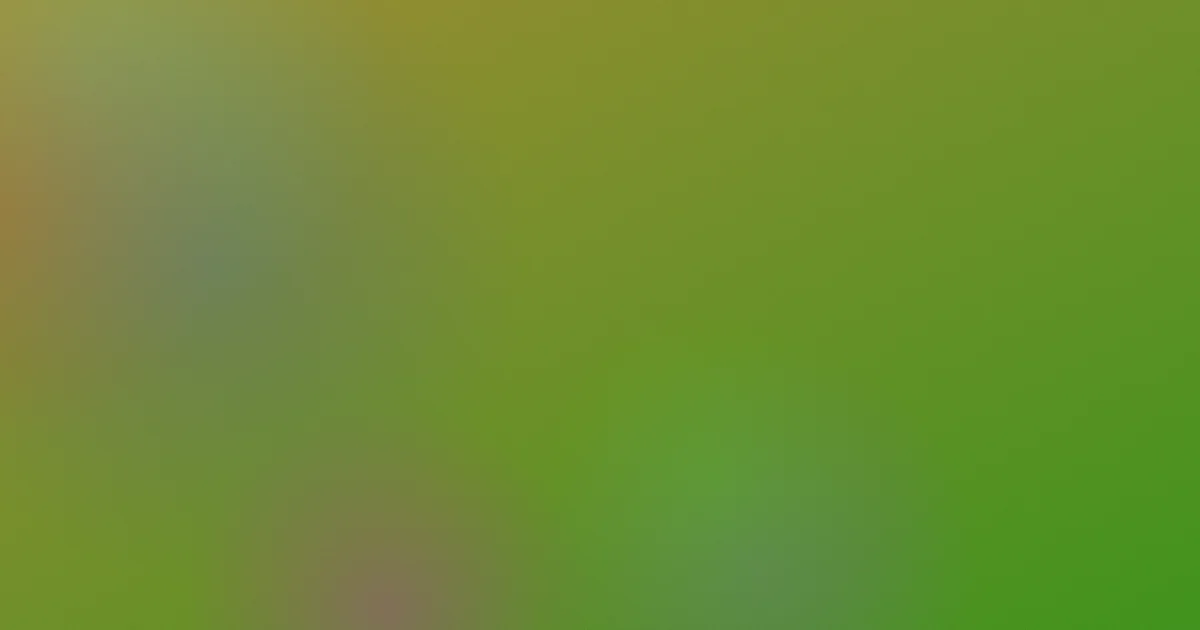 操大逼推荐？新手先看这篇